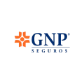 GNP